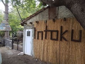 Intoku Sanat Kampı & Bungalov Tatil