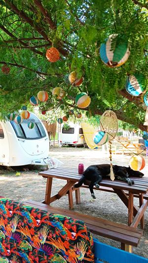 Thecamp Camping Karavan ve Çadır Tatil