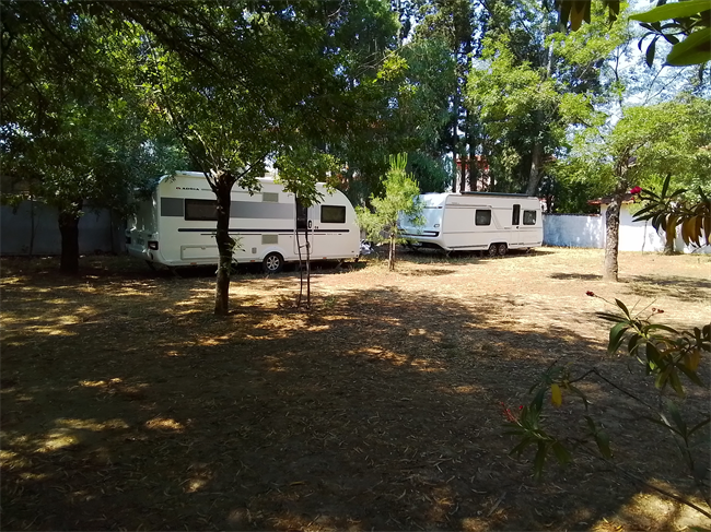 altin-camping