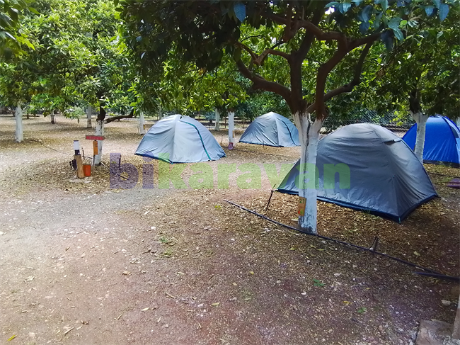 asilay-camping