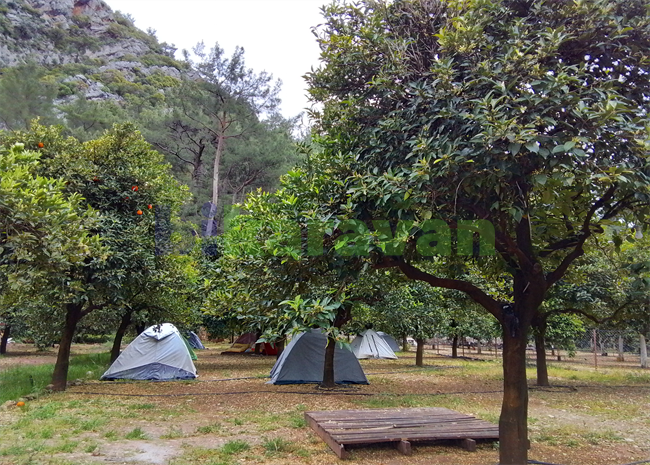 mandalin-camping