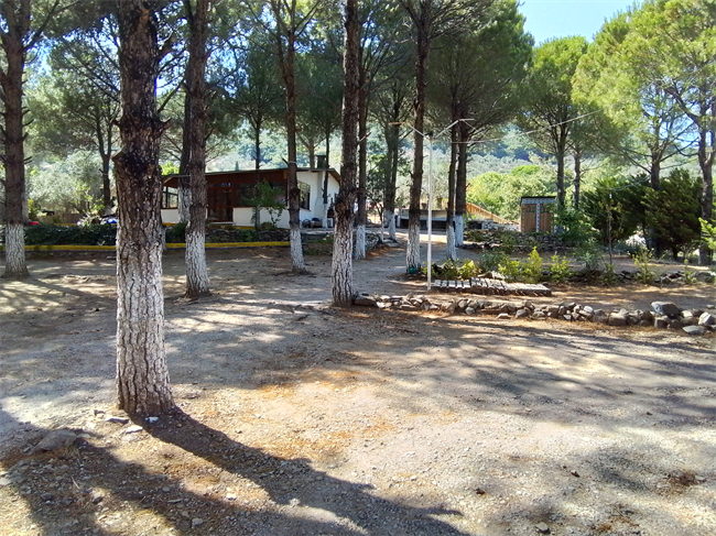 pine-garden-camping-edremit